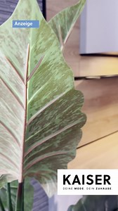 4K views | Anzeige: Jetzt deine Traumküche bei Mode & Wohnen Kaiser in Firrel finden! Schaue doch direkt vorbei oder vereinbare gleich einen Termin zur Beratung! #kaisermode #anzeige #Ostfriesland #ostfriesenzeitung #Heimat #traumküche #kücheninspiration #küchenplanung | Ostfriesen-Zeitung | Facebook