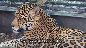 57K views · 817 reactions | We have UPDATED this story please follow...