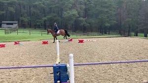 1.5K views | Gemma Stevens on Reels | Facebook