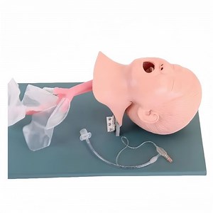 [Hot Item] Child Tracheal Intubation Model Medical Education Training Model