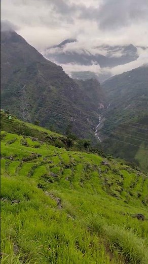 Beautiful Green 💚 seenari Uttarakhand Ranthi
