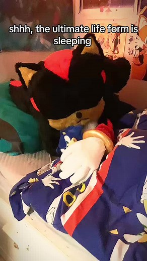 Shadow the Hedgehog: Ultimate Life Form Appreciation