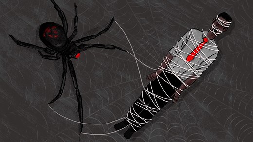 Killer Wives: 8 Most Infamous Black Widow Murderers