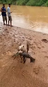 1.4M views · 17K reactions | so o maiolon que pegou alguma coisa pescaria kkkk | Reino de piedra rosa | Facebook