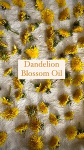 922 reactions · 29 comments | This is the first step in making...