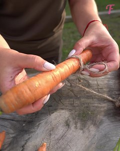 46K views · 251 reactions | Feeding horses with carrots, apples and hay | Fabiosa Digest | Facebook