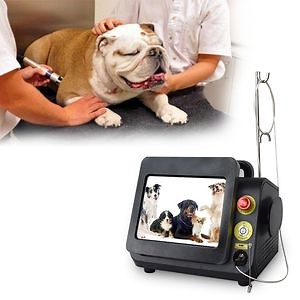 [Hot Item] Class 4 Laser Therapy for Pain Diode Laser Physiotherapy Machine Dog Laser Therapy
