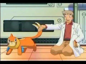 BUIZEL ATTACKS PROFESSOR OAK