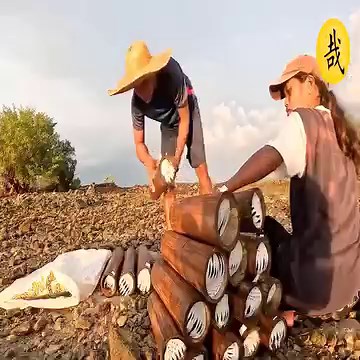 90K views · 1.2K reactions | Gunakan pipa bambu untuk menangkap makanan laut, tidak hanya kepiting biru dan kepiting bakau tetapi juga kepiting! #Seafood#Kepiting#Kepiting#Permukaan#Tangkap Ikan Banyak | Woodland Creek | Facebook