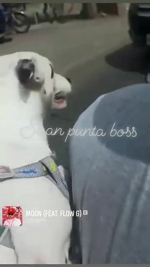 Leonardo Deguzman on Reels