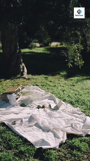 - Albert Einstein ❤️ #fyp #fanscreens #AlbertEinstein #alberteinsteinquote #motivation #inspiration #science #technology | FanScreens