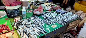 퐏퐑퐄퐒퐘퐎 퐍퐆 퐈퐒퐃퐀 퐒퐀 퐀퐆퐎퐑퐀 퐏퐔퐁퐋퐈퐂 퐌퐀퐑퐊퐄퐓 퐒퐀 퐒퐀퐍 퐉퐔퐀퐍 퐂퐈퐓퐘, 퐍퐀퐍퐀퐍퐀퐓퐈퐋퐈퐍퐆...