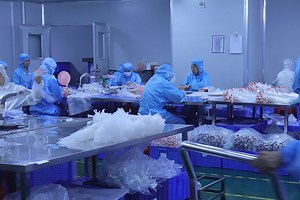 [Hot Item] Disposable Drainage Suction Kit- Surgical Silicone Reservoir