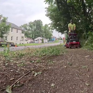 Love LAWN care | Love Lawn Care