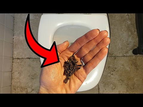 Use THIS simple trick to make your BATHROOM smell AMAZING!! ⚡