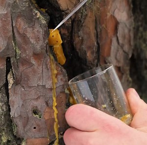 鳥や動物に愛情を注ぐDIYフィーダーのアイデア！ | ５分でできるdiyメンズ