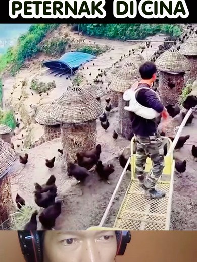 Cara unik peternak ayam di China memberikan pakan ternaknya #peternak #ayam #cina #unik #teknologi #fypシ゚
