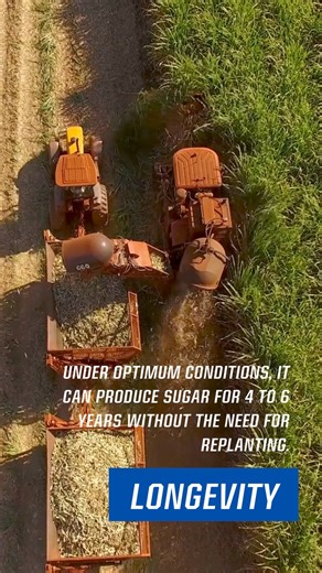 The center pivot, an ally of sugarcane, increases yields with its precise and uniform water application.💦🌟 #reinke | Reinke Irrigation