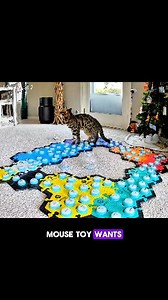 Is there even a greater love story than this one?! I mean, come on! Romeo and Juliet have nothing on Flounder and Mouse Toy! So in this example of how hardcore their love for each other is, I took Mouse Toy out of his ball to measure him for a waterproof receptacle for him to be in when Flounder takes him swimming. I didn't run this by Flounder because she was busy watching Pocahontas and I was literally going to have Mouse Toy out of the ball for MAYBE 2 minutes. Alas: she must have heard the b