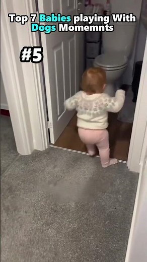Ranking the Cutest Dog and Baby Moments #dogs #babies #funny