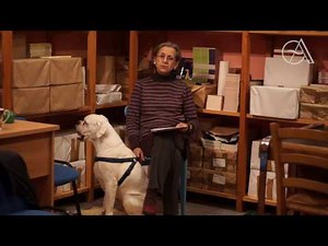 18.11.2016. Znakovi u svakodnevnom životu