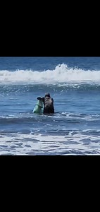 23K views · 384 reactions | Este pescador ce agacha para que no lo bean cuando las atrape #pescaviral | Mackley Hernández | Facebook