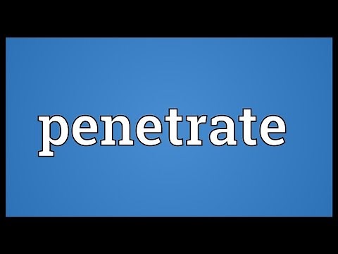 Penetrate Meaning