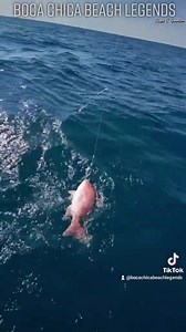 19 reactions | Barry, John, and Capt.C.Guillen teamed up with one of the best in Port Mansfield, Texas, Capt. Chad Kinney of Bamm Bamm Fishing Charters! -Capt.C.Guillen #TeamBCBL #BCBLGear #PortMansfieldTexas #SnapperFishing #BlackdogServices #BammBammFishingCharters #CaptCGuillen #RhodanMarineSystems Rhodan Marine Systems - GPS Trolling Motors | Boca Chica Beach Legends | Facebook