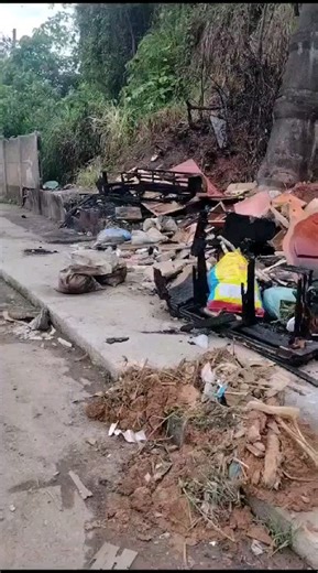 18K views · 27 reactions | Enviado por Nicole Alexia Reclamam diariamente da prefeita mas quem vem trazer lixos, entulhos e até animais m0rt0s não é ela!! Rua Maria de Almeida, bairro Teixeiras. | Juiz de Fora da Depressão | Facebook