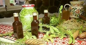 Cum faci sirop din muguri de brad. Care este secretul gospodinelor