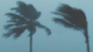 Live streaming is available without subscription for the duration of Hurricane Idalia coverage on our website at www.baynews9.com and on our Spectrum News app which can be downloaded at spectrumnewsapp.com. | Spectrum Bay News 9 Weather