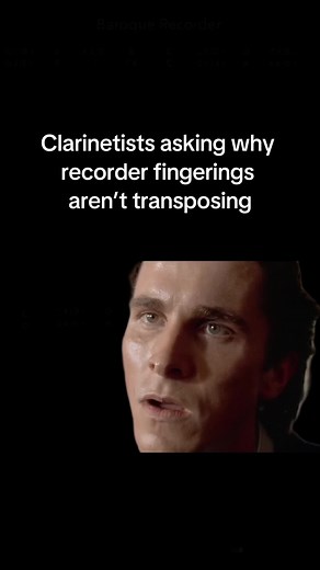 The challenge is part of the fun? #Meme #recorders #recorderplayersoftiktok #recordermemes