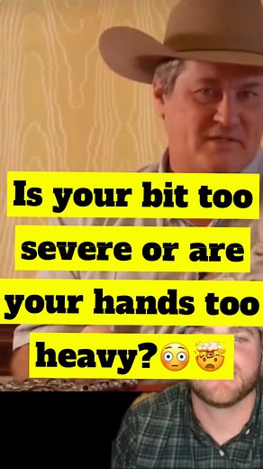 5.1K views · 142 reactions | Is your bit too severe or are your hands too heavy??勞 #rodeo #roping #horsetraining #horsemanship #calfroping #breakawayroping | Rodeo Gym | Facebook