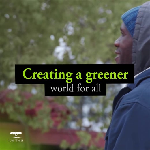 At Just Trees, we're not just about selling trees – we're dedicated to making a positive impact on the environment and communities in need.  For every five trees we sell, we donate one tree, because we believe in giving back to our planet. It brings us immense joy to see the transformation that our donated trees bring to underserved areas, from greening schools and hospitals to revitalising entire communities. #JustTrees #PlantingTrees #LifeAtTheNursury #Trees | Just Trees | Facebook