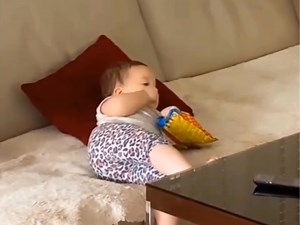 487K views · 12K reactions | No bills, no worries, no homework just eat and sleep. | Ｄｉｓｔｒａｃｔｉｏｎ | Facebook