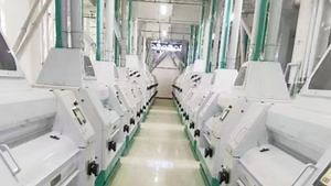 [Hot Item] Large, Medium and Small Maize Milling Machine