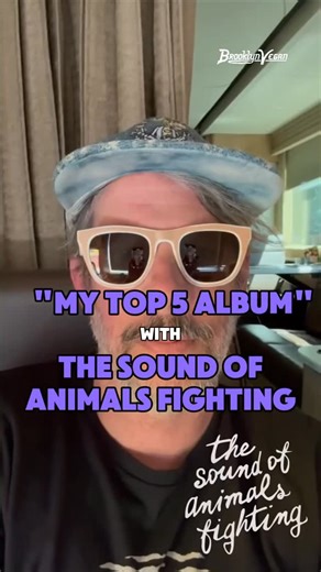 24K views · 77 comments | The members of experimental post-hardcore supergroup The Sound of Animals Fighting each tell us about an album in their personal top 5. The band’s own new album ‘The Maiden’—their first full-length in 17 years—comes out this week via @bornlosersrecords. | BrooklynVegan | Facebook