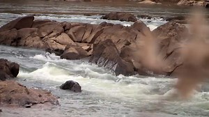 Incestuous Wedding Gypsy Brides US | Super videos