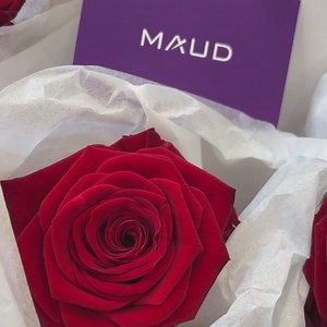 Maud et toute l’équipe Maud Professional vous souhaitent une belle journée de la femme ! 🌹✨ #maudmaquillagepermanent #maquillagepermanent #womensday #roses | Maud Academy