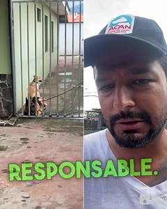 Lamentablemente muere nino por ataque de un perro poderoso 🚨 la municipalidad de Pérez Zeledón NO acepto colaboración muestra para dar charlas de tenencia responsable y desde hace años se le planteó al SENASA un proyecto para reglamentar la tenencia de perros poderosos 🚨estamos de luto #bienestaranimal #federacioncaninacr #proteccionanimal #bienestaranimal🐾 #rubenrodriguez #zaguaparade #perezzeledon | Rubén Rodríguez