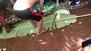 Woman removed from python after snake swallowed her whole