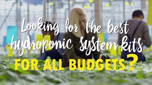 Amazon.com: iPower 600W HPS MH Digital Dimmable Ballast System Kits(Cool Tube XXL Reflector) and 1 Pack HPS & MH Indoor Grow Room Light Glasses Combo, 7-Day Timer : Everything Else