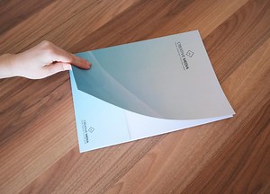 Custom Pocket Folder With Special Inner Pockets Designed for Your Company Branding and Professional Document Presentation - Etsy