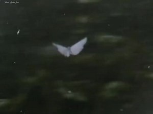 1.4K views | Deep Feeling on Reels | Facebook