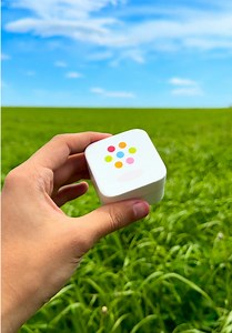 iDog Ring — Moveable Ears & Paw-Print Imprint