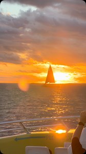 2.4K reactions · 34 comments | #Sunset #florida #seascreamer #dolphins #panamacitybeach #pcb #dolphin | Sea Screamer | Facebook