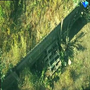 Beet acction movei | VediMag