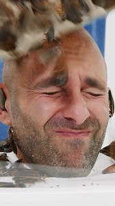 20K views · 185 reactions | What would it take for you to do an hour in the roach box?! #wildlife #bravewilderness #nature #cockroach | Brave Wilderness | Facebook