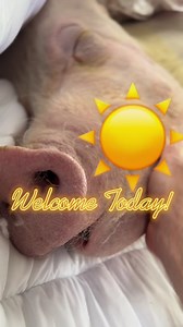 9.8K views · 2.1K reactions | Waking up every morning to see your beautiful face is the reason I smile. You are the reason I believe in love, and I will love you always | Derek Walter | Facebook