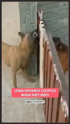 FilterCopy on Instagram: "@ long distance couples you know"